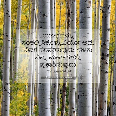 Picture 07 - ಯೋಬನು 22:28 KANIRV - ಯಾವುದನ್ನು - Bible Verse Picture