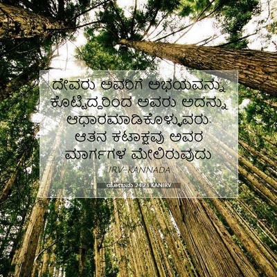 Picture 07 - ಯೋಬನು 24:23 KANIRV - ದೇವರು ಅವರಿಗೆ - Bible Verse Picture