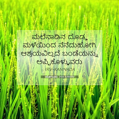Picture 07 - ಯೋಬನು 24:8 KANIRV - ಮಲೆನಾಡಿನ ದೊಡ್ಡ - Bible Verse Picture