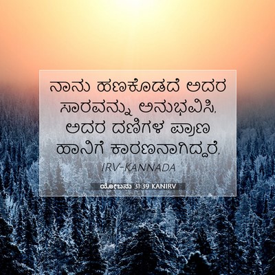 Picture 07 - ಯೋಬನು 31:39 KANIRV - ನಾನು ಹಣಕೊಡದೆ ಅದರ - Bible Verse Picture