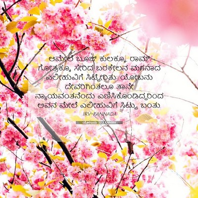 Picture 07 - ಯೋಬನು 32:2 KANIRV - ಆಮೇಲೆ ಬೂಜ್ - Bible Verse Picture
