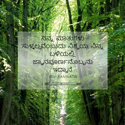 Picture 07 - ಯೋಬನು 36:4 KANIRV - ನನ್ನ ಮಾತುಗಳು - Bible Verse Picture