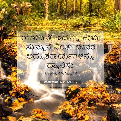 Picture 07 - ಯೋಬನು 37:14 KANIRV - ಯೋಬನೇ, ಇದನ್ನು ಕೇಳು! - Bible Verse Picture