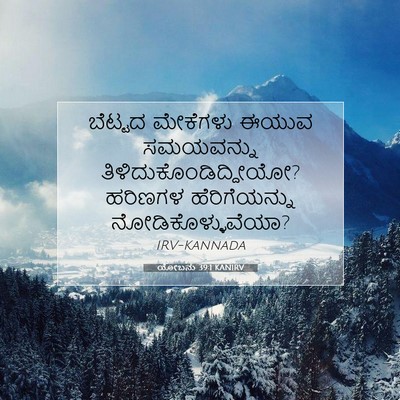 Picture 07 - ಯೋಬನು 39:1 KANIRV - ಬೆಟ್ಟದ ಮೇಕೆಗಳು - Bible Verse Picture