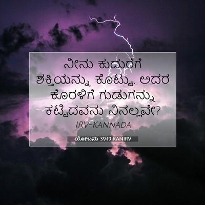 Picture 07 - ಯೋಬನು 39:19 KANIRV - ನೀನು ಕುದುರೆಗೆ - Bible Verse Picture