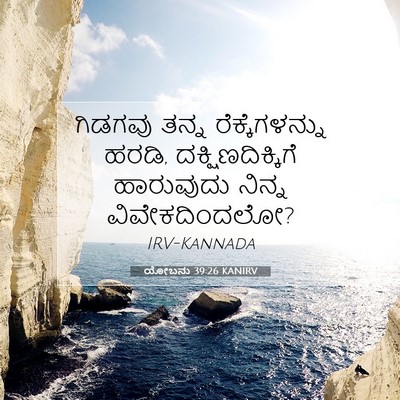 Picture 07 - ಯೋಬನು 39:26 KANIRV - ಗಿಡಗವು ತನ್ನ - Bible Verse Picture