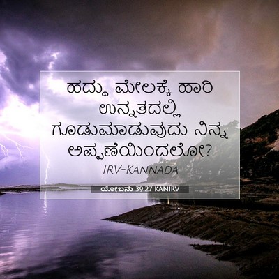 Picture 07 - ಯೋಬನು 39:27 KANIRV - ಹದ್ದು ಮೇಲಕ್ಕೆ - Bible Verse Picture