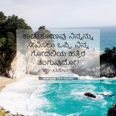 Picture 07 - ಯೋಬನು 39:9 KANIRV - ಕಾಡುಕೋಣವು - Bible Verse Picture