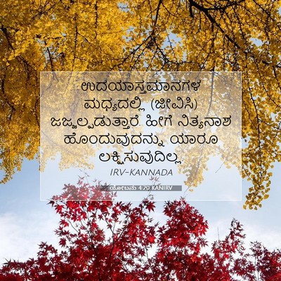 Picture 07 - ಯೋಬನು 4:20 KANIRV - ಉದಯಾಸ್ತಮಾನಗಳ - Bible Verse Picture