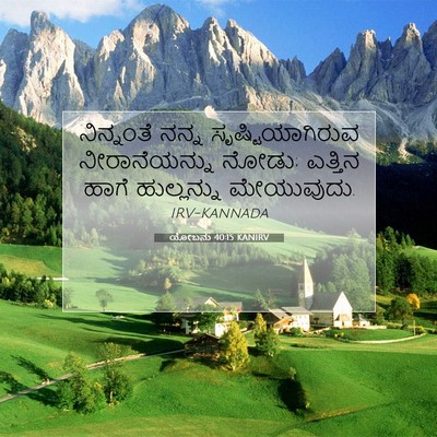 Picture 07 - ಯೋಬನು 40:15 KANIRV - ನಿನ್ನಂತೆ ನನ್ನ - Bible Verse Picture