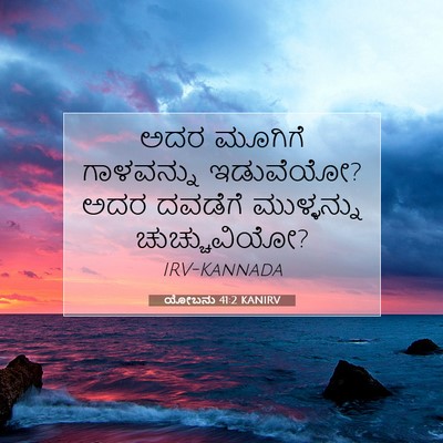 Picture 07 - ಯೋಬನು 41:2 KANIRV - ಅದರ ಮೂಗಿಗೆ - Bible Verse Picture