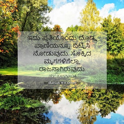 Picture 07 - ಯೋಬನು 41:34 KANIRV - ಇದು ಪ್ರತಿಯೊಂದು - Bible Verse Picture