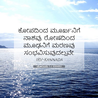 Picture 07 - ಯೋಬನು 5:2 KANIRV - ಕೋಪದಿಂದ ಮೂರ್ಖನಿಗೆ - Bible Verse Picture