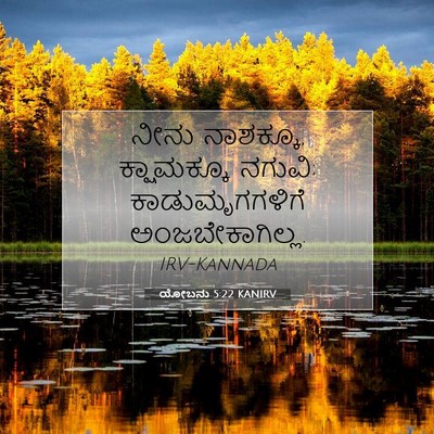Picture 07 - ಯೋಬನು 5:22 KANIRV - ನೀನು ನಾಶಕ್ಕೂ, - Bible Verse Picture