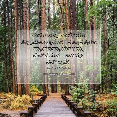 Picture 07 - ಯೋಬನು 6:30 KANIRV - ರುಚಿಗೆ ನನ್ನ - Bible Verse Picture