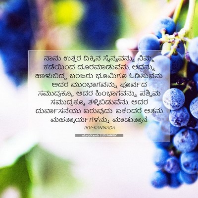 Picture 07 - ಯೋವೇಲನು 2:20 KANIRV - ನಾನು ಉತ್ತರ - Bible Verse Picture