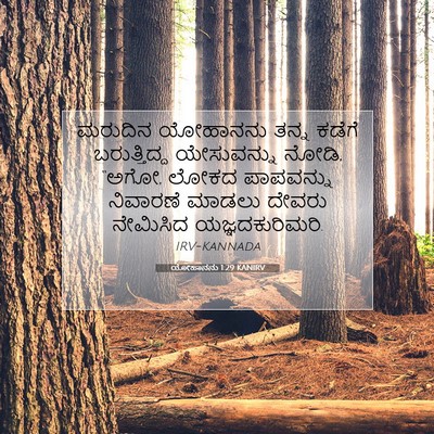 Picture 07 - ಯೋಹಾನನು 1:29 KANIRV - ಮರುದಿನ ಯೋಹಾನನು - Bible Verse Picture