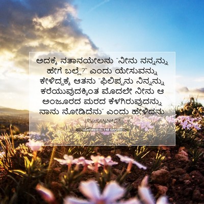 Picture 07 - ಯೋಹಾನನು 1:48 KANIRV - ಅದಕ್ಕೆ ನತಾನಯೇಲನು - Bible Verse Picture
