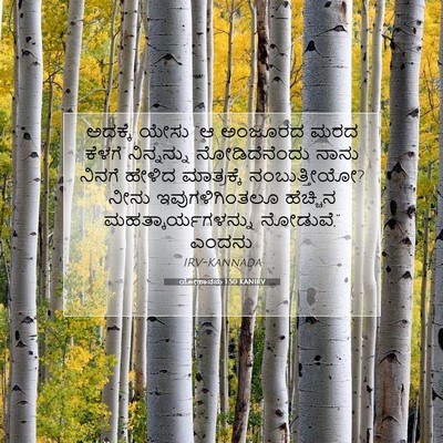 Picture 07 - ಯೋಹಾನನು 1:50 KANIRV - ಅದಕ್ಕೆ ಯೇಸು “ಆ - Bible Verse Picture