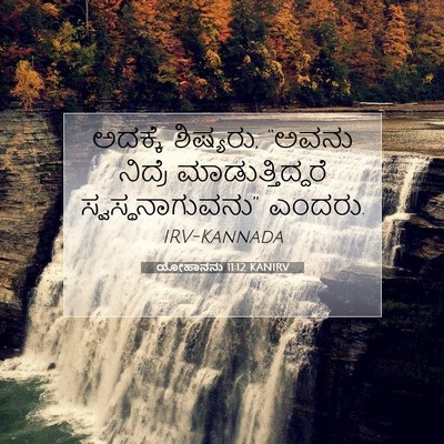 Picture 07 - ಯೋಹಾನನು 11:12 KANIRV - ಅದಕ್ಕೆ ಶಿಷ್ಯರು, - Bible Verse Picture