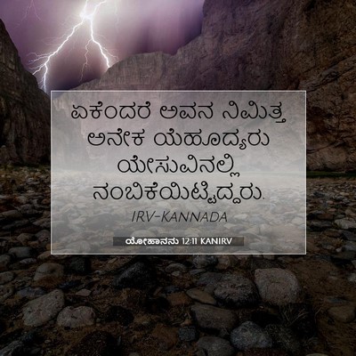 Picture 07 - ಯೋಹಾನನು 12:11 KANIRV - ಏಕೆಂದರೆ ಅವನ - Bible Verse Picture