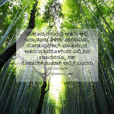 Picture 07 - ಯೋಹಾನನು 12:9 KANIRV - ಯೆಹೂದ್ಯರ ಗುಂಪು - Bible Verse Picture