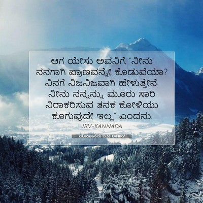 Picture 07 - ಯೋಹಾನನು 13:38 KANIRV - ಆಗ ಯೇಸು ಅವನಿಗೆ, - Bible Verse Picture