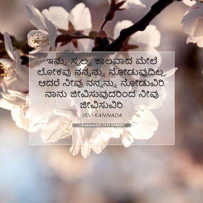 Picture 07 - ಯೋಹಾನನು 14:19 KANIRV - ಇನ್ನು ಸ್ವಲ್ಪ - Bible Verse Picture