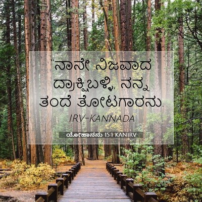 Picture 07 - ಯೋಹಾನನು 15:1 KANIRV - “ನಾನೇ ನಿಜವಾದ - Bible Verse Picture