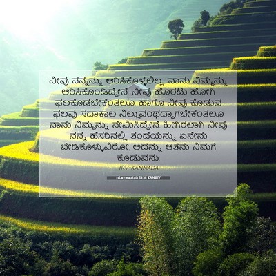 Picture 07 - ಯೋಹಾನನು 15:16 KANIRV - ನೀವು ನನ್ನನ್ನು - Bible Verse Picture