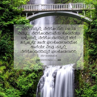 Picture 07 - ಯೋಹಾನನು 15:4 KANIRV - ನೀವು ನನ್ನಲ್ಲಿ - Bible Verse Picture