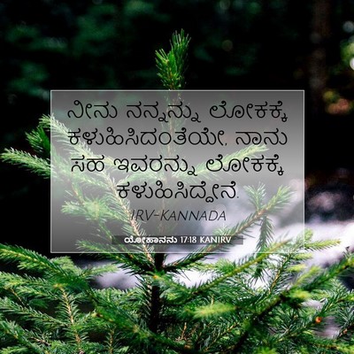 Picture 07 - ಯೋಹಾನನು 17:18 KANIRV - ನೀನು ನನ್ನನ್ನು - Bible Verse Picture