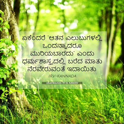 Picture 07 - ಯೋಹಾನನು 19:36 KANIRV - ಏಕೆಂದರೆ “ಆತನ - Bible Verse Picture