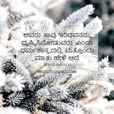 Picture 07 - ಯೋಹಾನನು 19:37 KANIRV - “ಅವರು ತಾವು - Bible Verse Picture