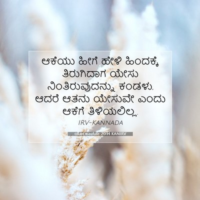 Picture 07 - ಯೋಹಾನನು 20:14 KANIRV - ಆಕೆಯು ಹೀಗೆ ಹೇಳಿ - Bible Verse Picture
