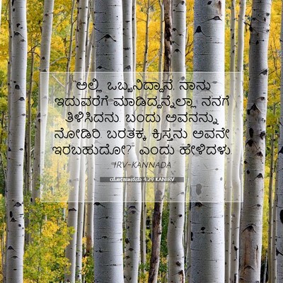 Picture 07 - ಯೋಹಾನನು 4:29 KANIRV - “ಅಲ್ಲಿ - Bible Verse Picture