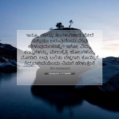 Picture 07 - ಯೋಹಾನನು 4:35 KANIRV - ‘ಇನ್ನೂ ನಾಲ್ಕು - Bible Verse Picture