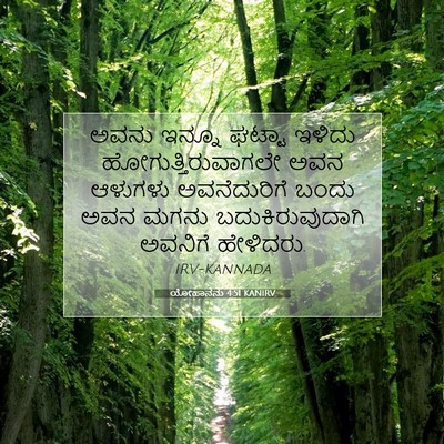 Picture 07 - ಯೋಹಾನನು 4:51 KANIRV - ಅವನು ಇನ್ನೂ ಘಟ್ಟಾ - Bible Verse Picture