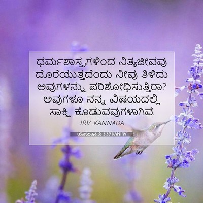 Picture 07 - ಯೋಹಾನನು 5:39 KANIRV - ಧರ್ಮಶಾಸ್ತ್ರಗಳಿಂದ - Bible Verse Picture