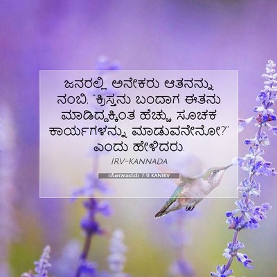 Picture 07 - ಯೋಹಾನನು 7:31 KANIRV - ಜನರಲ್ಲಿ ಅನೇಕರು - Bible Verse Picture
