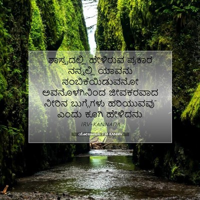 Picture 07 - ಯೋಹಾನನು 7:38 KANIRV - ಶಾಸ್ತ್ರದಲ್ಲಿ - Bible Verse Picture