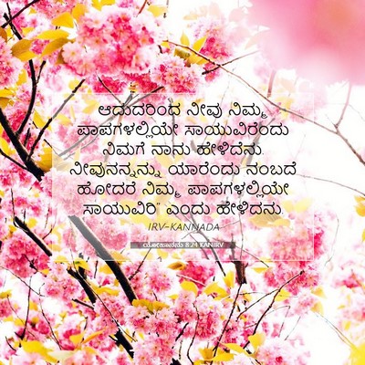 Picture 07 - ಯೋಹಾನನು 8:24 KANIRV - ಆದುದರಿಂದ ನೀವು - Bible Verse Picture