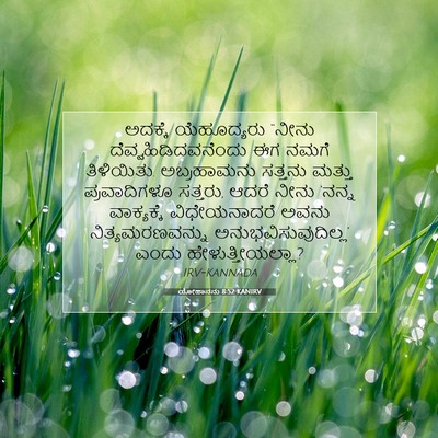 Picture 07 - ಯೋಹಾನನು 8:52 KANIRV - ಅದಕ್ಕೆ ಯೆಹೂದ್ಯರು - Bible Verse Picture