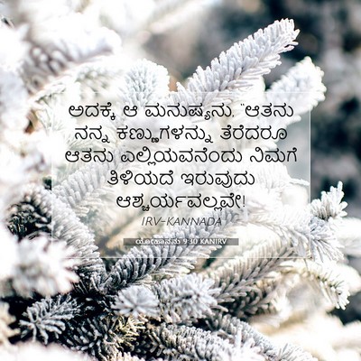 Picture 07 - ಯೋಹಾನನು 9:30 KANIRV - ಅದಕ್ಕೆ ಆ ಮನುಷ್ಯನು, - Bible Verse Picture