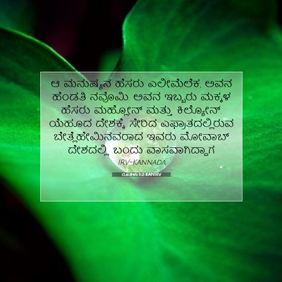 Picture 07 - ರೂತಳು 1:2 KANIRV - ಆ ಮನುಷ್ಯನ ಹೆಸರು - Bible Verse Picture