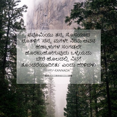 Picture 07 - ರೂತಳು 2:22 KANIRV - ನವೊಮಿಯು ತನ್ನ - Bible Verse Picture