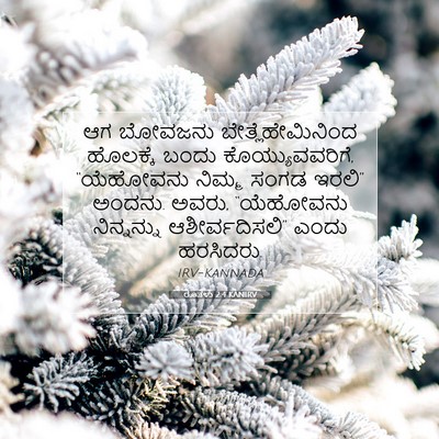 Picture 07 - ರೂತಳು 2:4 KANIRV - ಆಗ ಬೋವಜನು - Bible Verse Picture