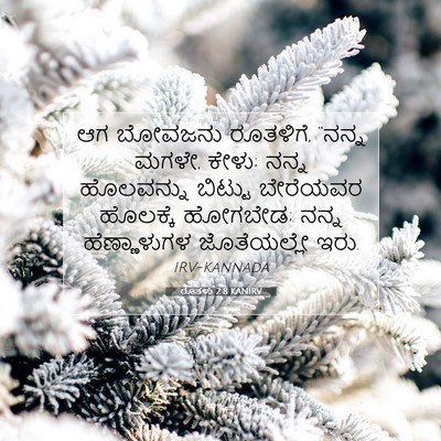 Picture 07 - ರೂತಳು 2:8 KANIRV - ಆಗ ಬೋವಜನು ರೂತಳಿಗೆ, - Bible Verse Picture