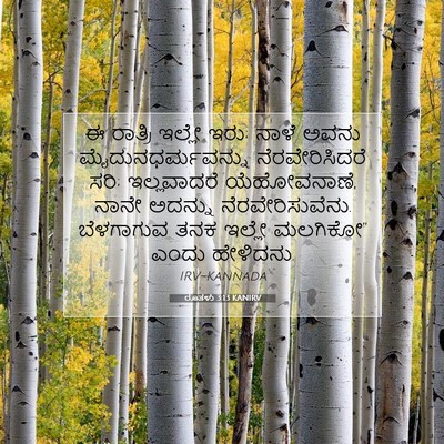 Picture 07 - ರೂತಳು 3:13 KANIRV - ಈ ರಾತ್ರಿ ಇಲ್ಲೇ ಇರು; - Bible Verse Picture