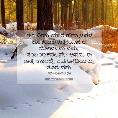 Picture 07 - ರೂತಳು 3:2 KANIRV - ಈಗ ನೀನು ಯಾರ - Bible Verse Picture